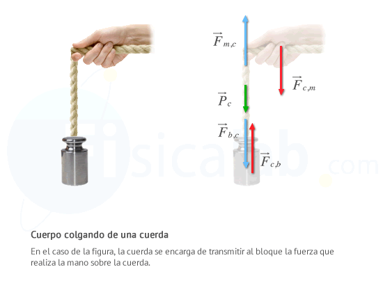 En el caso de la figura, la cuerda se encarga de transmitir al bloque la fuerza que realiza la mano sobre la cuerda.