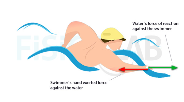 action reaction in swimming