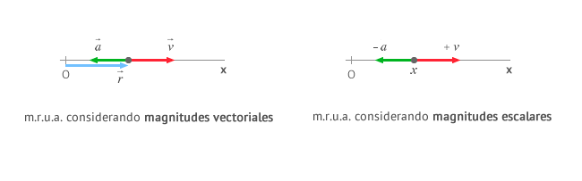 m.r.u.a. considerando magnitudes vectoriales y escalares