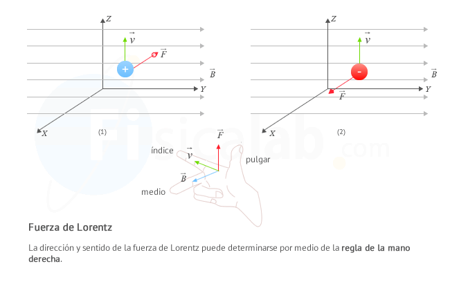 La fuerza de Lorentz se puede obtener gráficamente aplicando la regla de la mano derecha.