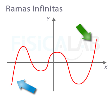 Ramas infinitas en función polinómica