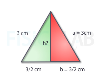 Triángulo equilátero dividido en dos rectángulos